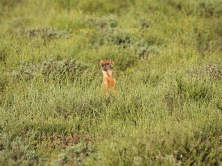 National Parks across South Africa 