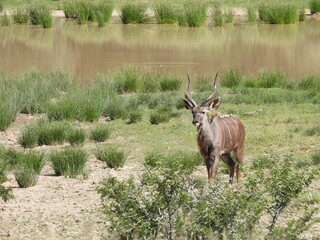 National Parks across South Africa 