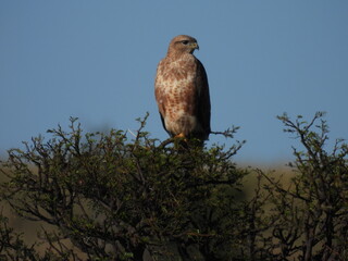 National Parks across South Africa 