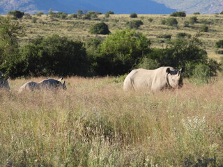 National Parks across South Africa 