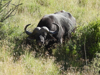 National Parks across South Africa 