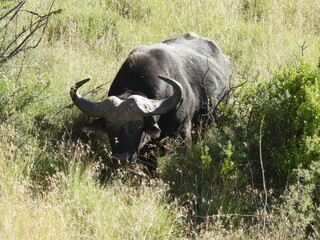 National Parks across South Africa 