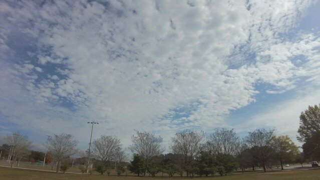 Time lapse video of the forest and clouds in the blue sky