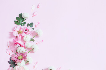Fototapeta na wymiar pink and white chrysanthemums on pink background background