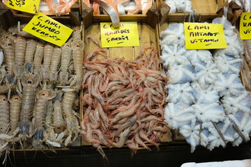 fresh fish at the market