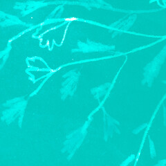 Vintage Hand Drawn Flower. Tranquil Summer