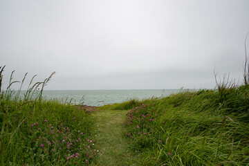 un sentier dans les herbes menant à la mer