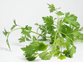 Fresh parsley stalks on white background.
