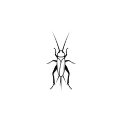 Cricket insect icon isolated vector graphics