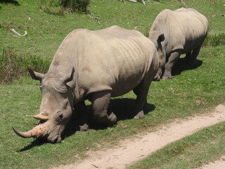 Obraz premium Garden Route Region SA 