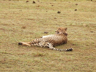 Garden Route Region SA 