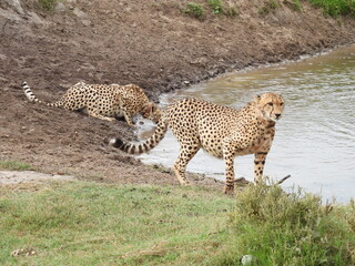 Garden Route Region SA 
