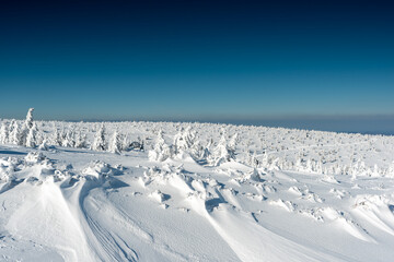 Widok na zimowe Karkonosze gór / Winter view of Karkonosze mountains - obrazy, fototapety, plakaty