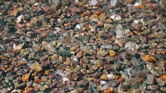 Sea Small Pebbles Multi Colored Underwater Waves Small Ripples On Surface Of Water Summer Sunny Day. Nature Texture. Pattern