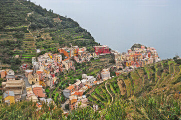 Fototapeta premium Veduta dalle cinque terre - Manarola, Liguria