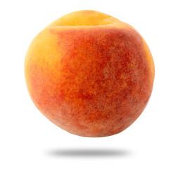 Italian Percoca, peach variety with yellow and compact flesh, isolated