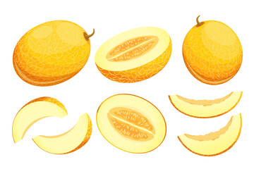 A set with melon.Whole melon, slices, half.Juicy, yellow fruits.Vector illustration highlighted on a white background.