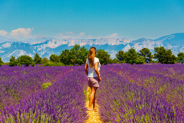 Frau im Lavendelfeld in der Provence / Valensole