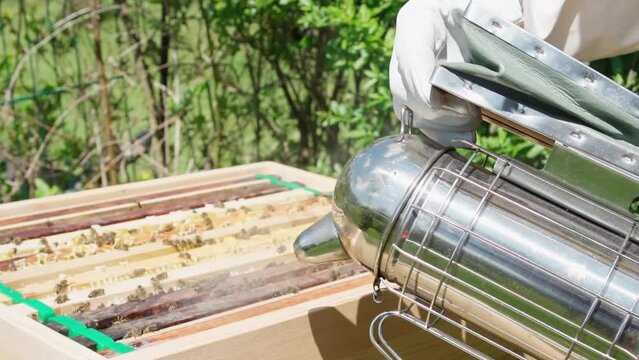 Beekeeper cover Bees in smoke to relax them before taking their Honeycombs. Slow Motion