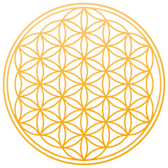 flower of life spiritual symbol orange chakra