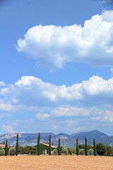 Landschaft in der Provence