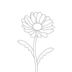 Daisy Flower Line Art Kids Coloring Page And Book Vector