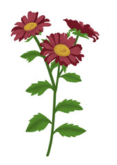 Flowers set illustration PNG