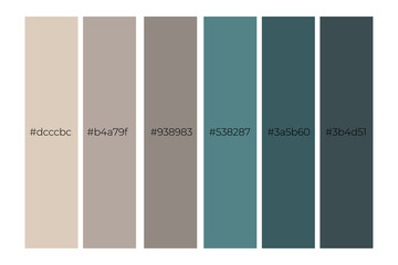 Vector collection of trendy palette with codes