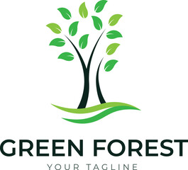 Obraz premium tree with leaves