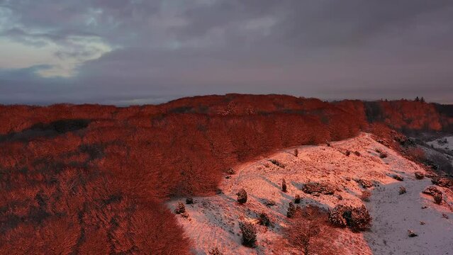 Flying high above illuminated mountain forest at golden hour in winter. Aerial view of snow covered valley at sunset