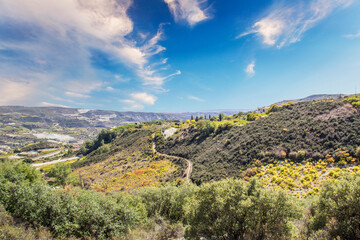 Fototapeta na wymiar Beautiful view of the grape terraces of Cyprus