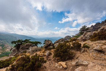 Fototapeta na wymiar Wanderung in der Bergen von Korsika / Col de Bavella