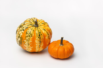 two colored miniature pumpkins on a white background