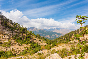 Fototapeta na wymiar Wandern in den Bergen von Korsika