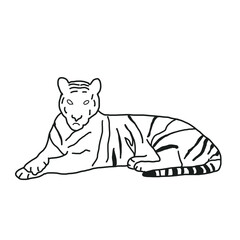 tiger forest animal camp summer travel hobby hand drawn organic line  