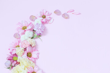 Obraz na płótnie Canvas beautiful flowers on pink background
