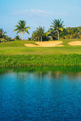 A golf course with palm trees in the background