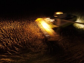 summer harwesting corn farm field ukraine 2022