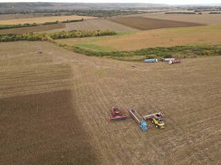 summer harwesting corn farm field ukraine 2022