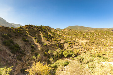 Fototapeta na wymiar Paradise valley in Morocco, near Agadir