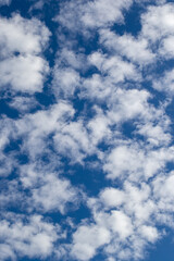 Clouds shaped like white fluffballs in a blue sky