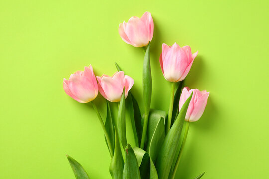 Bouquet of pink tulips on green background. Happy Mothers Day, Birthday, anniversary concept.