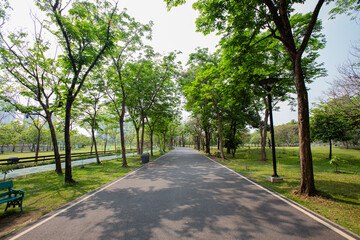 Beautiful walking paths surrounded by trees provide shade in the park
