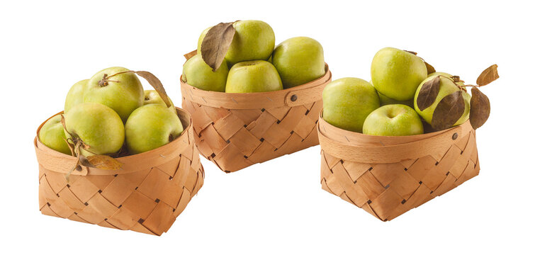 Apple variety Reinette Simirenko  in basket
