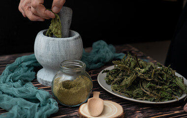 An herbalist prepares a powder from dried May nettle leaves. Folk, alternative medicine.