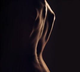 Fototapeta na wymiar Nude, back and silhouette, sexy woman with body closeup, dark aesthetic and art, skin and sensual on black background. Desire, beauty and creative with seduction, cosmetics and naked female in studio