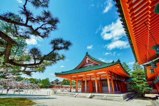 平安神宮　桜