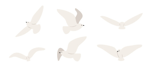 coastal landscape creator clipart set, vector woman on beach illustration, Individual PNG SVG, couple flying seagull sea lion clip art, images in flat cartoon style, Wedding Invitation, Logo Elements.