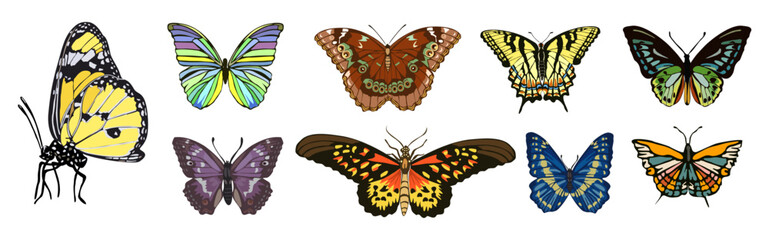 Fototapeta na wymiar Collection of elegant exotic butterflies, moths isolated on transparent background. Set of tropical flying insects, colorful wings. Decorative design elements. Cartoon vector realistic illustration.
