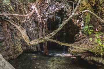 Natural grotto of the Baths of Aphrodite Botanical Garden in Akamas National Forest on the Akamas...